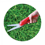 Ψαλίδι χλόης Benman