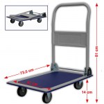 Καρότσι μεταφοράς Express 631425