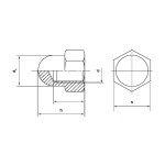 Περικόχλια (παξιμάδια) εξάγωνα τυφλά DIN 1587 inox A2